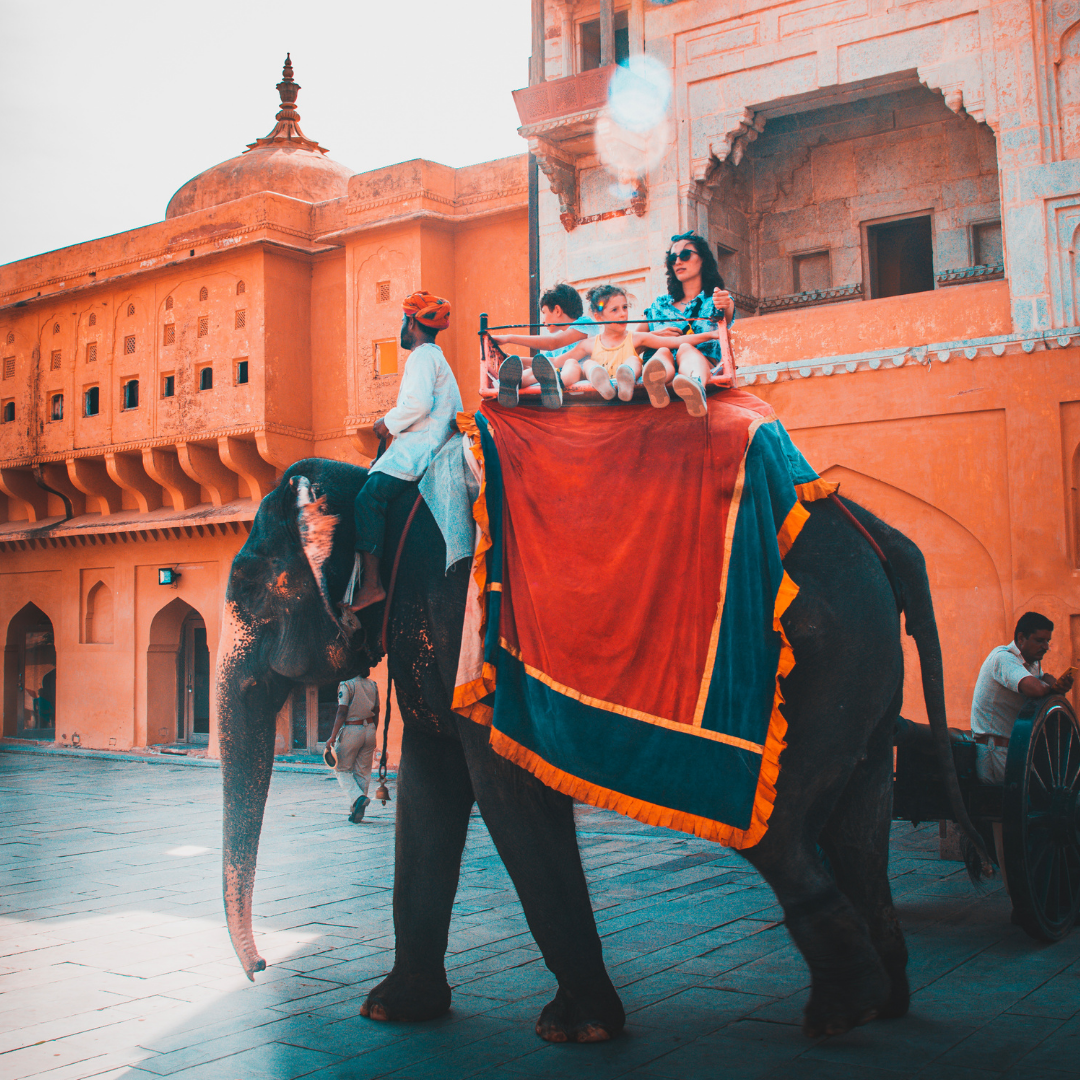 India Travel Experience